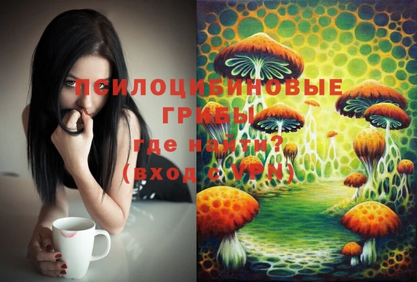 стаф Гусь-Хрустальный