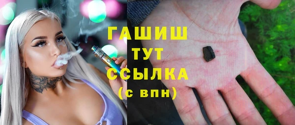 стаф Гусь-Хрустальный