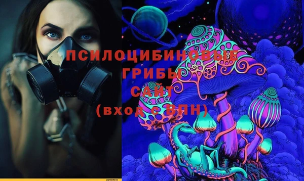 стаф Гусь-Хрустальный