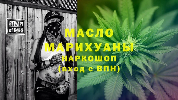 стаф Гусь-Хрустальный