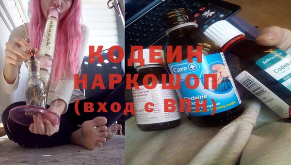 стаф Гусь-Хрустальный
