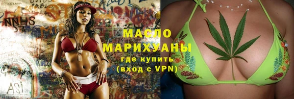 стаф Гусь-Хрустальный