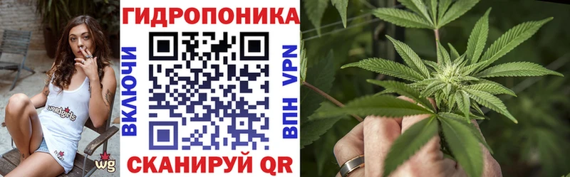 МАРИХУАНА план  Купить закладки  Пионерский 